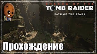 Shadow of the Tomb Raider - Прохождение #29➤Гробница "Взгляд судьбы" и склепы. Перуанские джунгли.