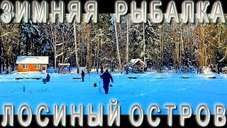 Зимняя рыбалка на Лосином острове. «Клевое место» - Рыболовные путешествия