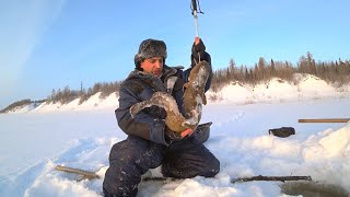 ВОТ ЭТО ПОДАРОК НА КРЕЩЕНИЕ / ОГРОМНЫЙ НАЛИМ ПОРАДОВАЛ УСТАИЧА / РЫБАЛКА 2019