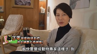 《黑喵知情》丁寧與寵物演員們 同台飆戲大感佩服！