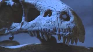 Динозавры All about Dinosaurs BBC Documentary Film