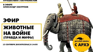 Детский эфир "Животные на войне (правда и мифы)" в рамках рубрики "Путешествия с натуралистом"
