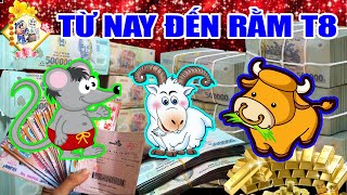 THẦN TÀI Đảm Bảo 100% 3 Tuổi Này Trúng Số Siêu Khủng, TIỀN Về Chật Két, Xoá sạch nợ từ nay đến rằm