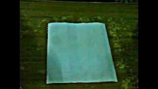 Chiste cervilleta de papel :D