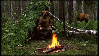 Выживание с Медведями! Ночёвка в мокром лесу. Без снаряжения 24 часа