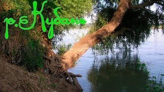 КУБАНЬ. Ловля подлещика, карася. Иногда ставлю на донки старые отцовские латунные колокольчики