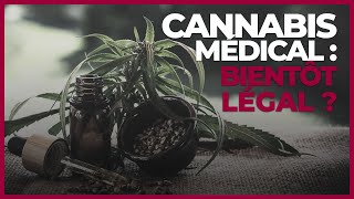 Cannabis thérapeutique : la France souhaite rattraper son retard