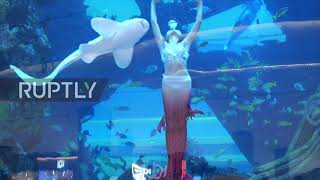 Massive cylindrical aquarium becomes selfie hotspot inside Chinese mall