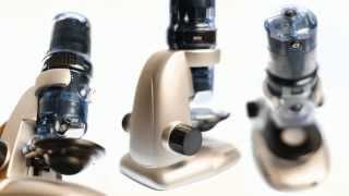 Цифровой микроскоп Celestron Amoeba