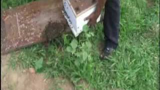 Bee Keeping DVD-Worldview Sri Lanka (part 4)
