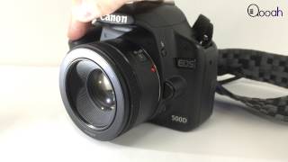 Canon 50mm EF f/1.8 STM 變焦鏡頭聲測試
