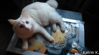 Вышивка крестом и бисером: Рукодельные покупки декабря!