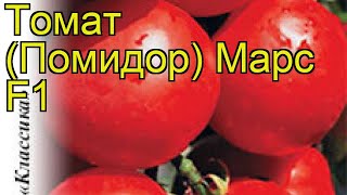 Томат Марс F1 (Томат). Краткий обзор, описание характеристик, где купить семена solánum lycopérsicum