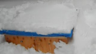 Winter hive check