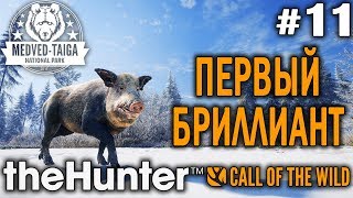 theHunter call of the wild #11 ? - Первый Бриллиант - Револьвер, Арбалет - Кабарга, Лось, Кабан