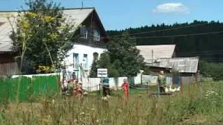 110725 Злые пчелы