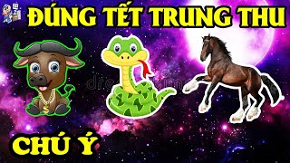 GIỚI TIÊN TRI RÙNG MÌNH, TOP 3 CON GIÁP ĐANG KHỔ VÌ DỊCH, BẤT NGỜ GẶP THỜI VÀO ĐÚNG TẾT TRUNG THU