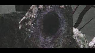 Dark Souls 2: Scholar of the First Sin ♦ Первый Босс: Последний Гигант [#2]