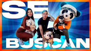EL ÚLTIMO PERRO EN SER ENCONTRADO GANA $10,000 - Yolo Aventuras