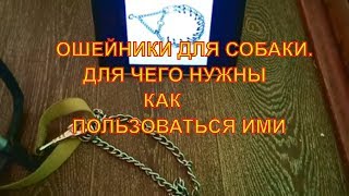 ОШЕЙНИКИ.НАЗНАЧЕНИЕ И ПРИМЕНЕНИЕ В ДРЕССИРОВКЕ РОТВЕЙЛЕРА.