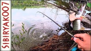 Что нужно рыбе?.. Спиннинг в разных условиях. Воблер, блесна, поппер, неогруженная резина