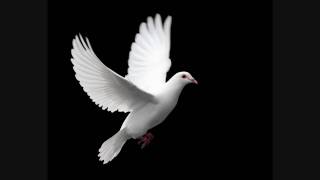 Bach - Keyboard Concerto No.5 in F Minor BWV 1056 II: Largo
