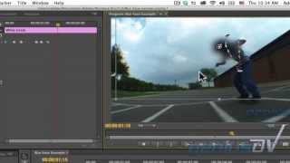 Adobe Premiere Blur a Person's Face