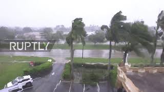 USA: Palm trees wobble as Irma slams Naples