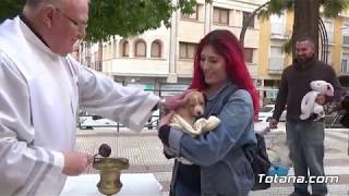 Bendición de animales  San Antón Totana 2019