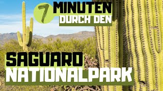 4K Saguaro Nationalpark in 7 Minuten - Bajada Loop, Wandern und Kakteen