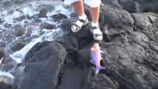 Trailer Shorefishing Hawaii Volume 1