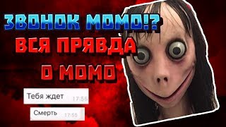 ЗВОНОК МОМО!? ВСЯ ПРАВДА О МОМО!