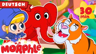 Morphle | Angsteinflößende Tiere in Morphle’s Haus! | Karikatur für Kinder | Morphle auf Deutsch