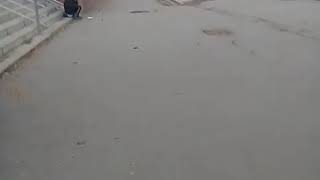 Бомжиха