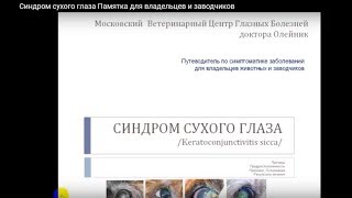 Синдром сухого глаза.  Мини-лекция для владельцев и заводчиков.