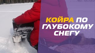 Всесезонный КОЙРА с редуктором по глубокому снегу. Видео от клиента!  2016