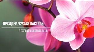 Орхидеи.Сухая пастель.(в Oxford Academic Club)