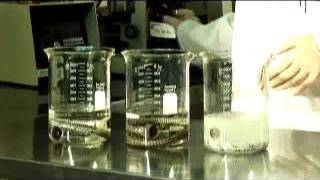 Prueba de Corrosión. COFLEX.