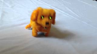 Electric Walking Dog , Plush Dog ,Toy Dog