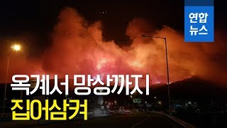 강릉 옥계서 동해 망상까지 집어삼켜…산불 피해 속출 / 연합뉴스 (Yonhapnews)