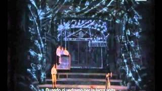 Die Zauberflöte - Seid uns zum zweiten Mal willkommen (Drei Knaben)