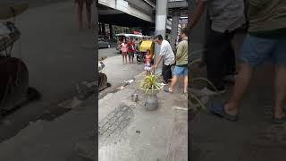 Mag AMANG BANDA sa kalsada ang galing ng batang babae mag drum