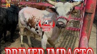 RANCHO LOS EXCLUSIOS EN EL TORNEO//EN LA PLAZA HERRADURA 10/5/2014//1080 HD
