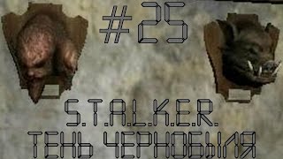 [аааадский собеседник!] слепое прохождение S.T.A.L.K.E.R.: Тень Чернобыля с комментариями #25