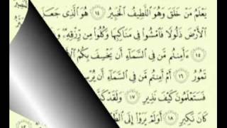 ماهر المعيقلي سورة الملك قراءة رائعة ومؤثرة