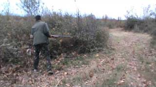chasse lapin ste marie by julien partie 2