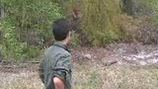 Temperate deciduous forest