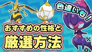 【ポケモンUSUM】色違いも可能！「アーゴヨン」に進化するウルトラビースト「ベベノム」厳選方法とおすすめの性格【ウルトラサンムーン実況】