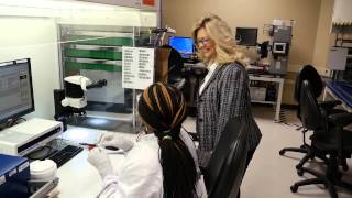 Medtronic Quality - Employee and Patient, Ginger