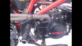 Заводим пит-байк IRBIS TTR 125 в -19 градусов.